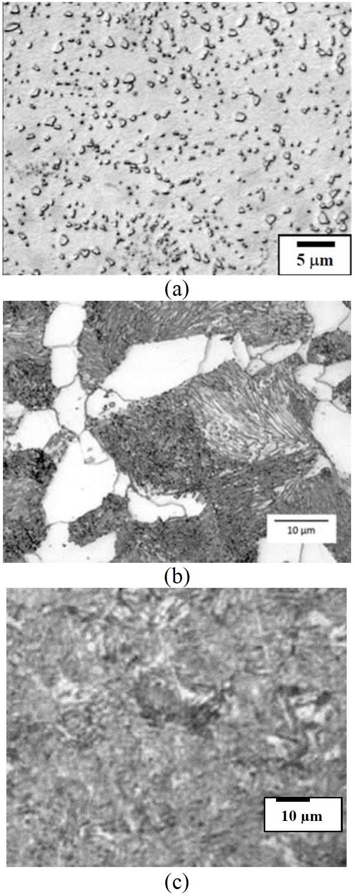 Fluxtrol | ASM HTS 2021 Influence of Specimen Design on Maximum Heating Rate and Temperature Variation During Induction Heating in an 805L Dilatometer Figure 1 - Typical microstructures of 0.45 wt pct carbon steels produced for induction hardening (a) spheroidized (4 pct picral etch), (b) ferrite-pearlite (2 pct nital etch), (c) tempered martensite (2 pct nital etch).